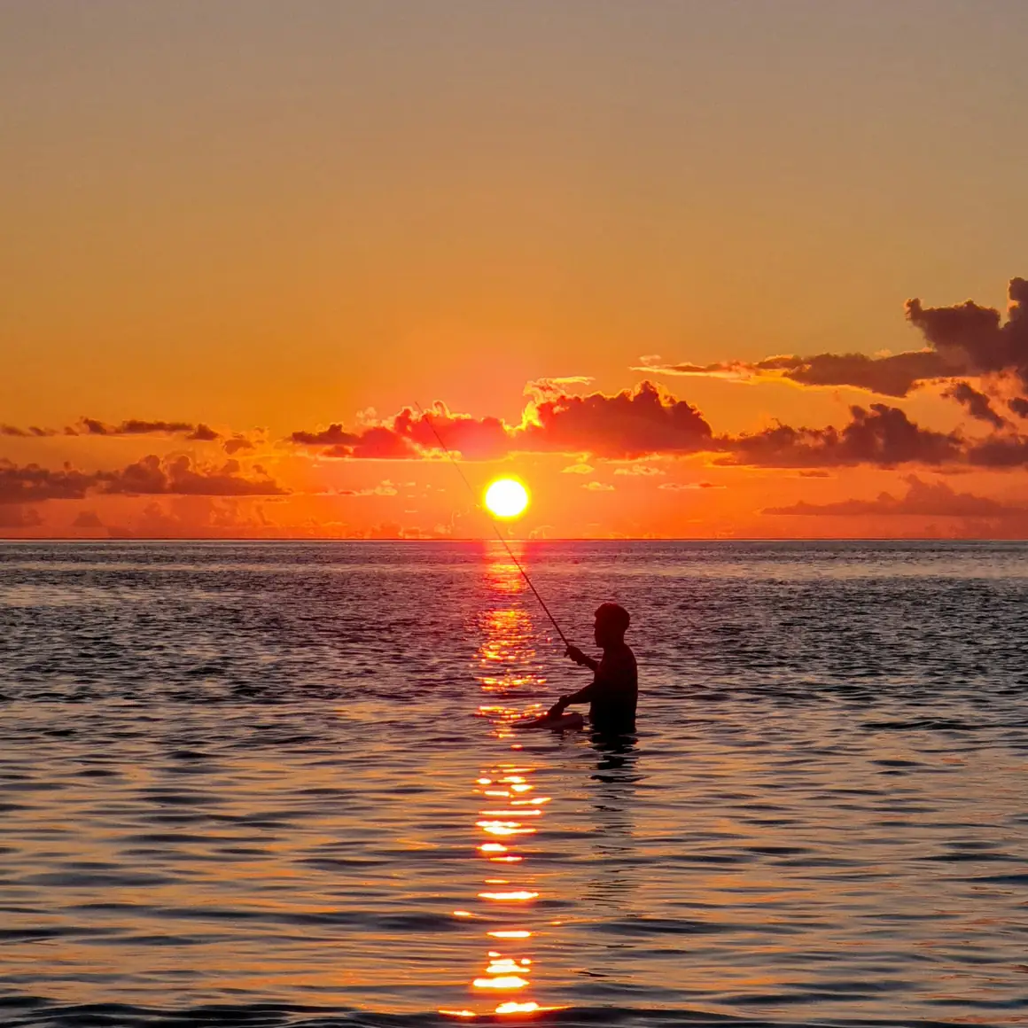 Reef, deep-sea and night fishing