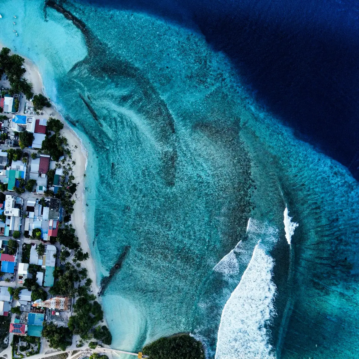 A local island, a world-class lagoon
