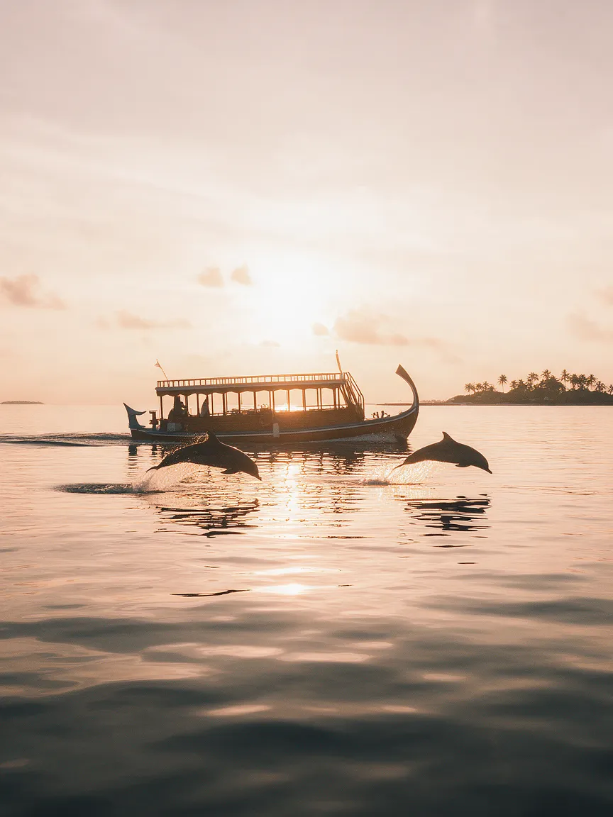 Sunset Cruise